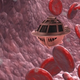 Fantastic Voyage (1966)